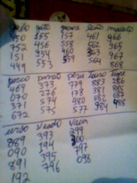 Aprendendo a jogar no bicho 2017 pt21