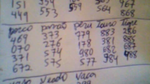 Aprendendo a jogar no bicho 2017 pt21