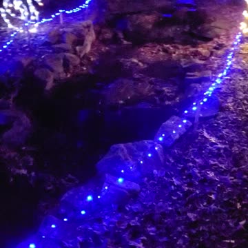 Christmas at the falls