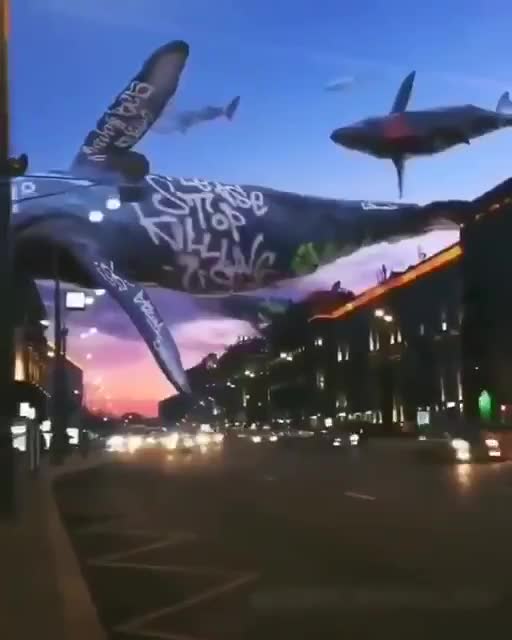 Hologram flying whales