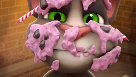 Tom cat funny fruit eating
