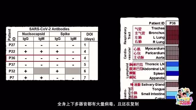 曾感染过新冠后死亡的病人的解剖结果令人触目惊心