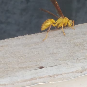 Kabi is se mulakat hoi hai