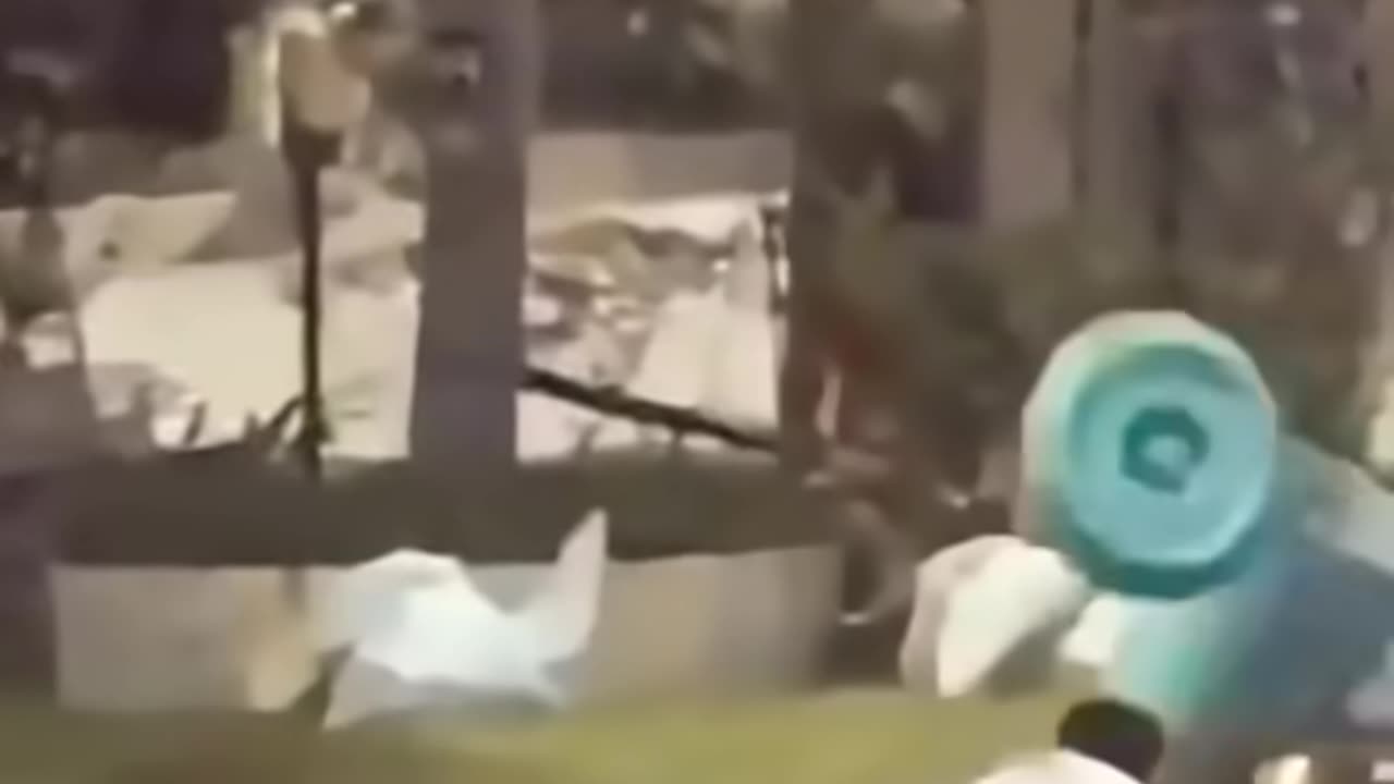 Funniest Moments Ever - Real Comedy!