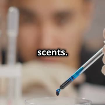 DIY Make Cologne at Home