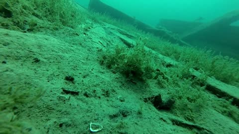 Tobermory Inner Harbor Diving 2019