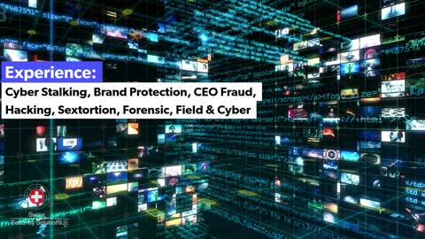 Cyber Investigation Services