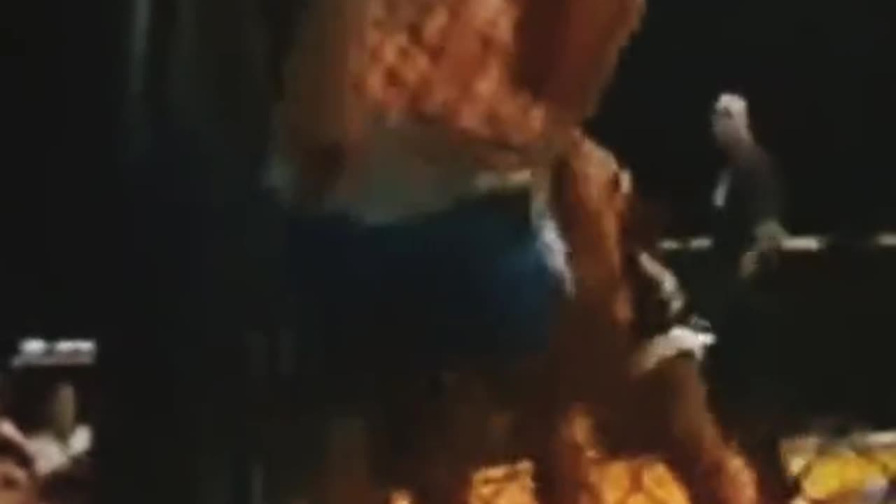 Herb Dean used to fight MMA