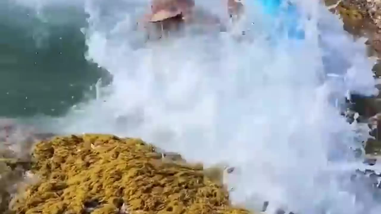 The End 🤣🤣🤣 Funny Fails #shorts #funny #fails #viral