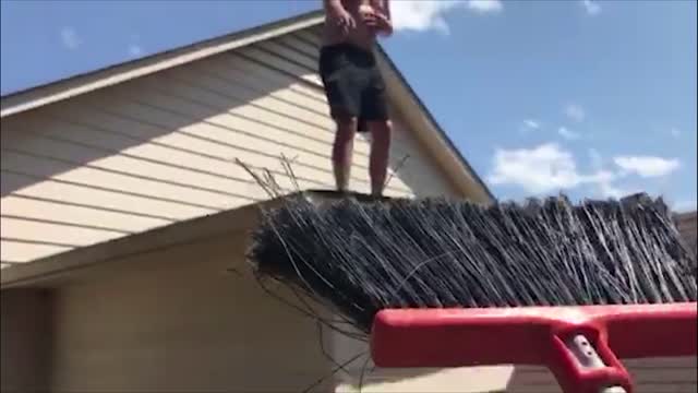 Shirtless Boy Flails As Bats Swarm