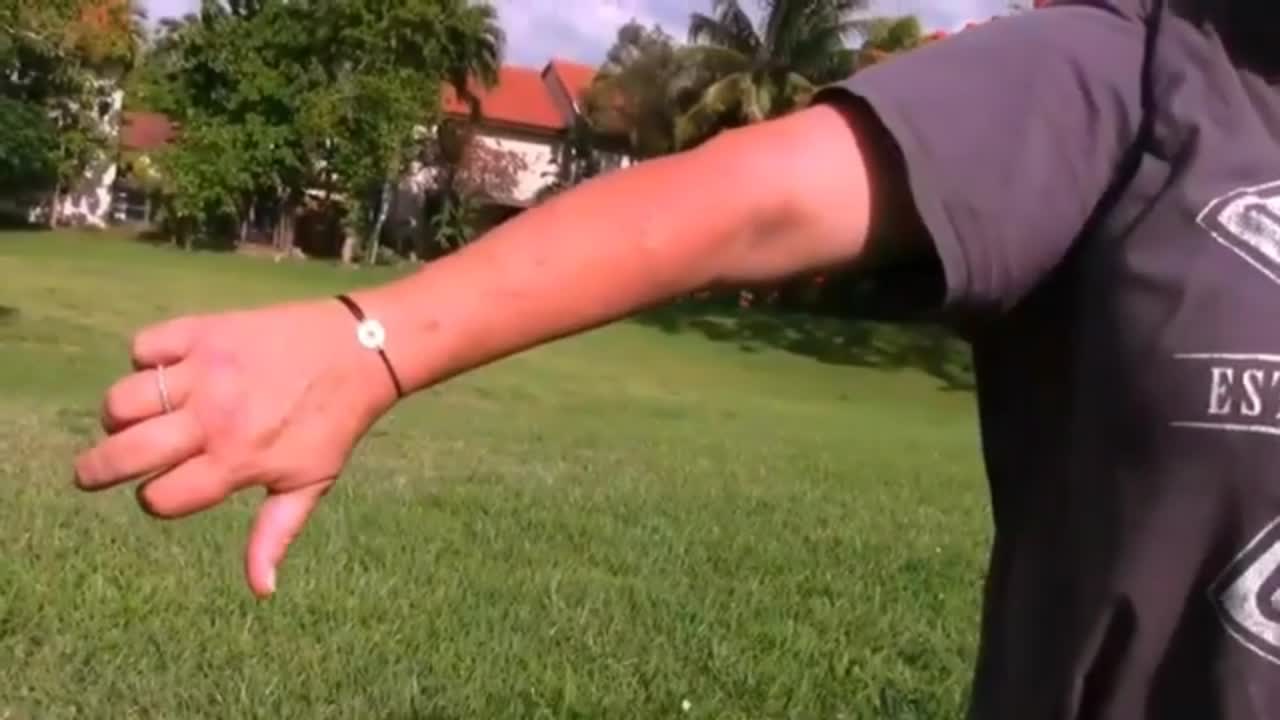 How To Mak Dog Become fully agreessivve 🐕