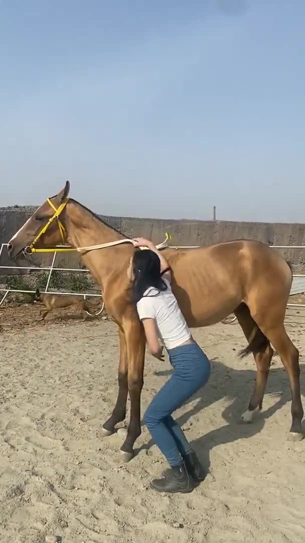 Fully Hourse Riding