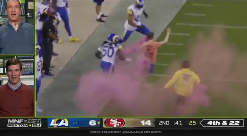 NFL Football Streaker Gets Wrecked By Los Angeles Rams' Linebackers