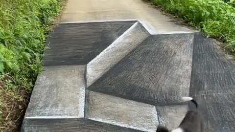 The way this dog walks on an art illusion