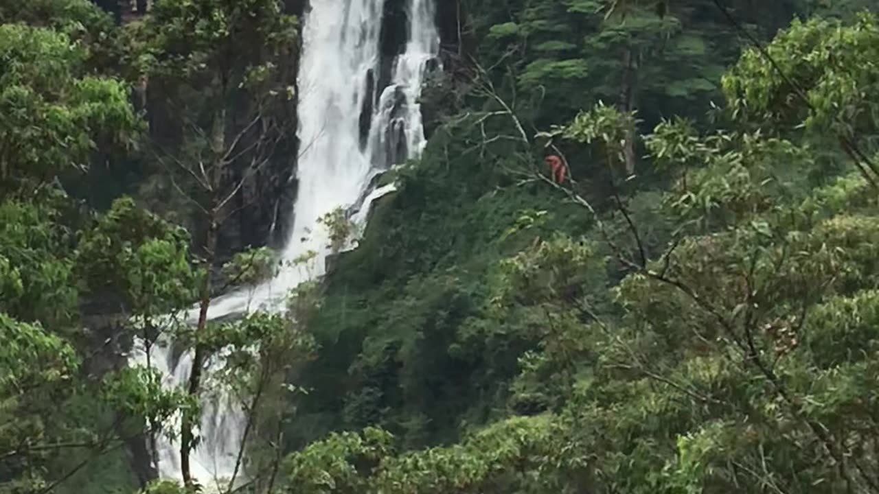 Dewon falls most beautiful waterfall