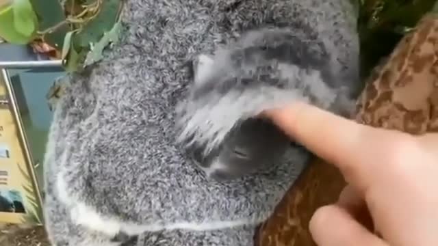 If your are not lazy watch this