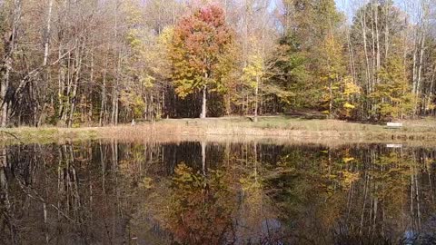 Munroe Falls- Indian Spring Trail , Pond