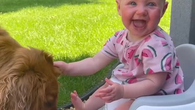 Find someone that makes you this happy ♥️ #dogsoftiktok #cute #baby #dog #fy