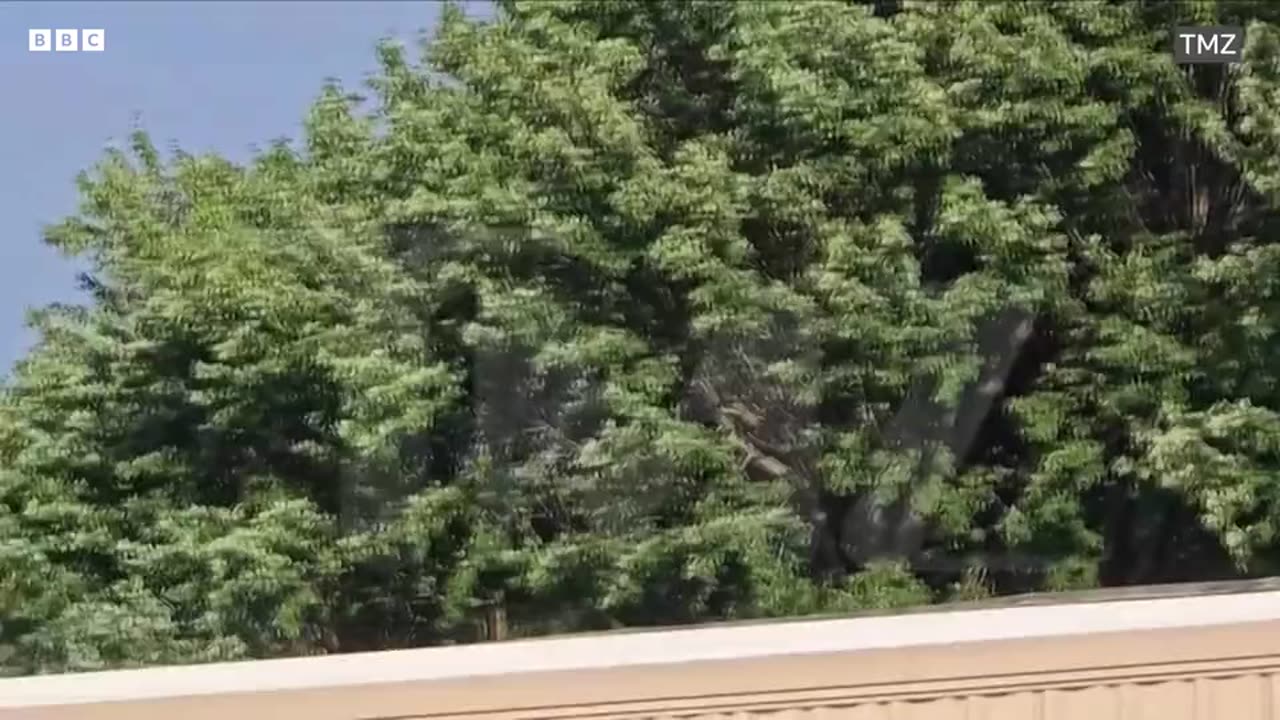 Video shows Trump rally shooter on roof
