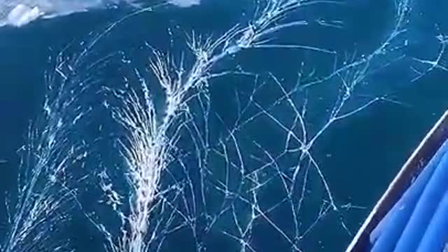 So Shocked Frozen Sea 😲💥