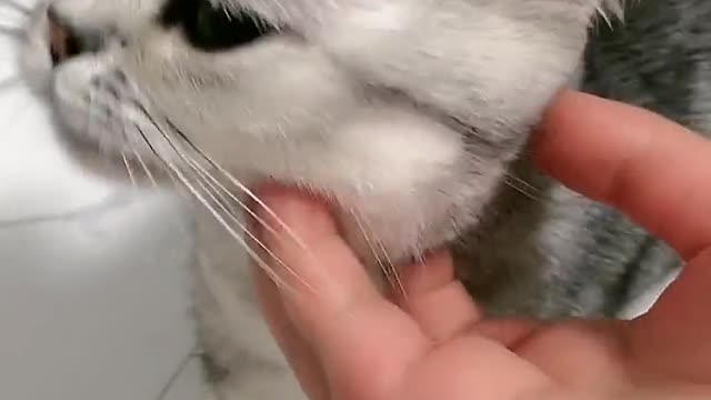 It will be a mother soon
