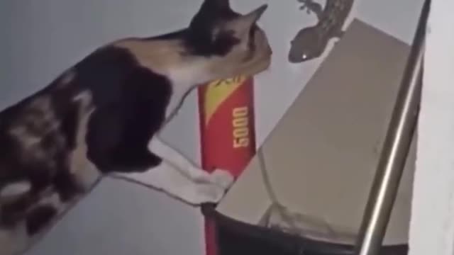 It's so funny. You must see the end