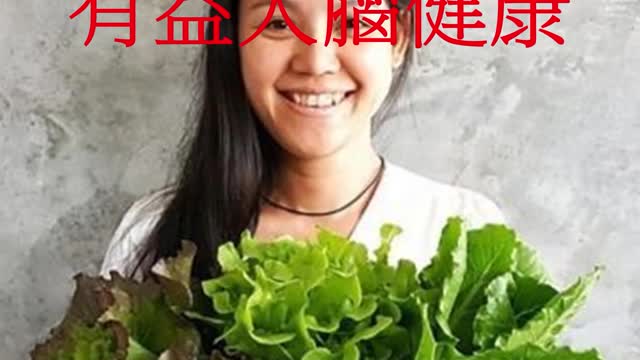 維生素K 有益大腦健康
