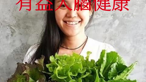 維生素K 有益大腦健康
