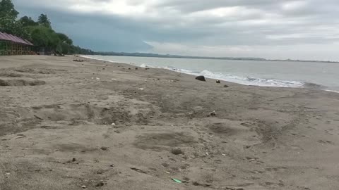 Beach view behind my house