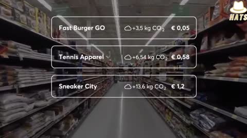 Social Credit System in Disguise