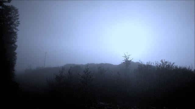 Sorrow (official) - Indy Angel