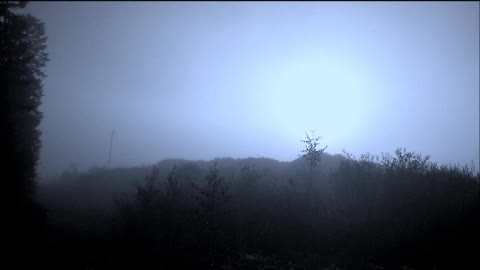 Sorrow (official) - Indy Angel