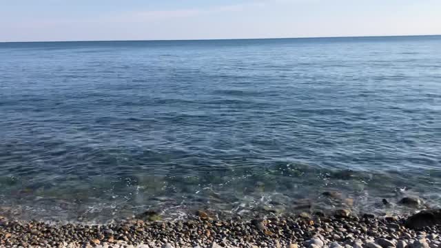 young-duk sea