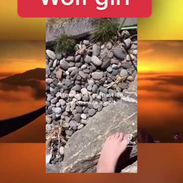 Interviews Woman Who Identifies As A Wolf