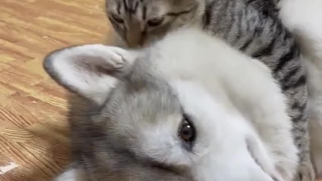 besties