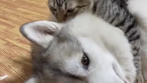 besties