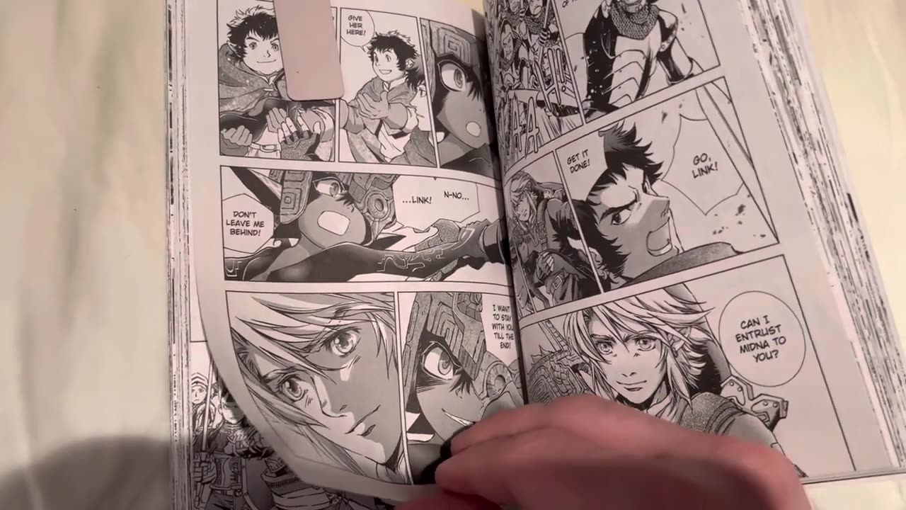 There is No Way That The Twilight Princess Manga Will Not End Perfectly