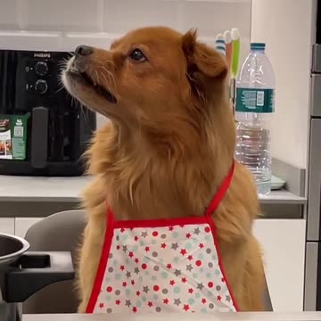 You added too much again!!! 🤣🤣😡