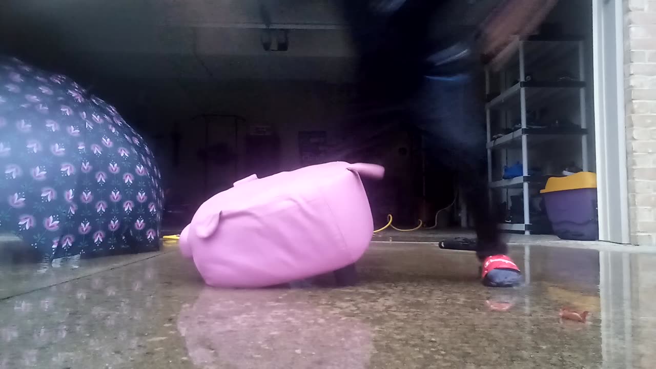 Pig Got SOME da drip