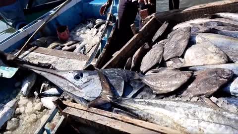 Big Fish Catching || Amazing GholFish || Deep sea in Gujarat fishing Boat ||-7