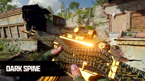Black Ops 6 Camo's