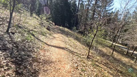 Alan Thiesen Trail, Grass Valley, California