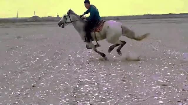 man riding a horse