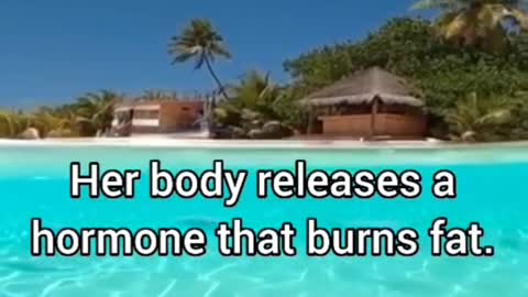 Psychology Fact | Relationship Fact | Sex Fact | #shorts #reels #tiktok