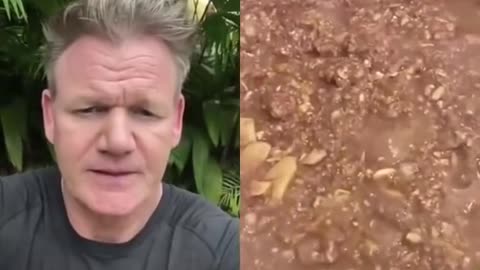 Gordon Ramsay likes the food Gordon Ramsay Reacts to TikTok cooking