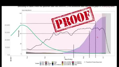 ( -0116 ) Are You Going To Tell Me That You're Young & Healthy But You're Safer With the Vaccine Than With The Delta Variant? - 0116