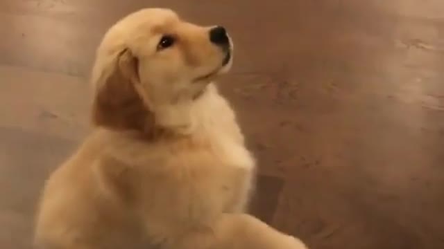 Don't go, don't go, play with me, play with me, ma