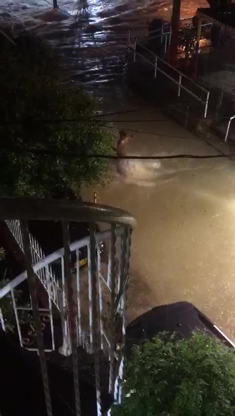 Cae hombre en arroyo