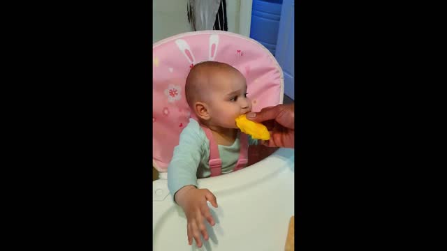 Adorable baby sucking on a mango seed