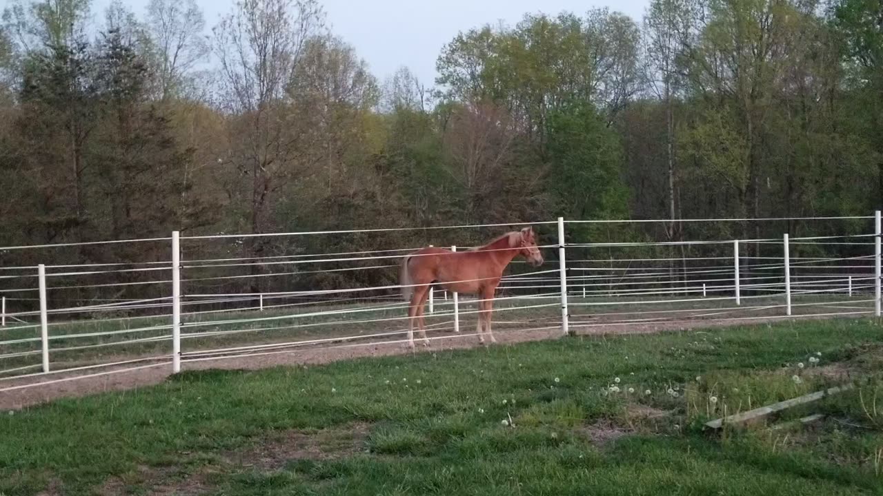 Let me out.